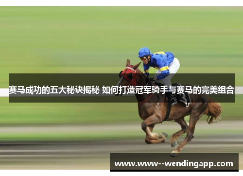 赛马成功的五大秘诀揭秘 如何打造冠军骑手与赛马的完美组合 赛马成功的五大秘诀揭秘 如何打造冠军骑手与赛马的完美组合